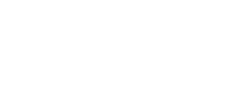 Università di Torino